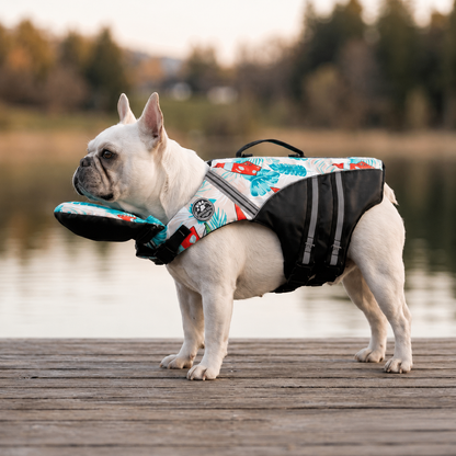 MyPetFloat® Gilet de sauvetage pour chien