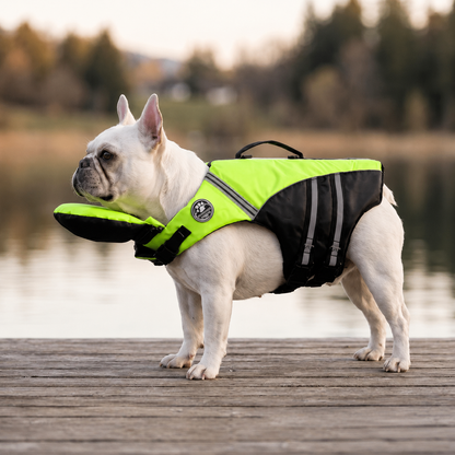 MyPetFloat® Gilet de sauvetage pour chien